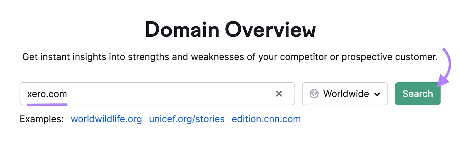searching xero.com in domain overview tool