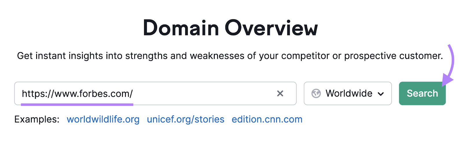 Domain Overview tool search bar