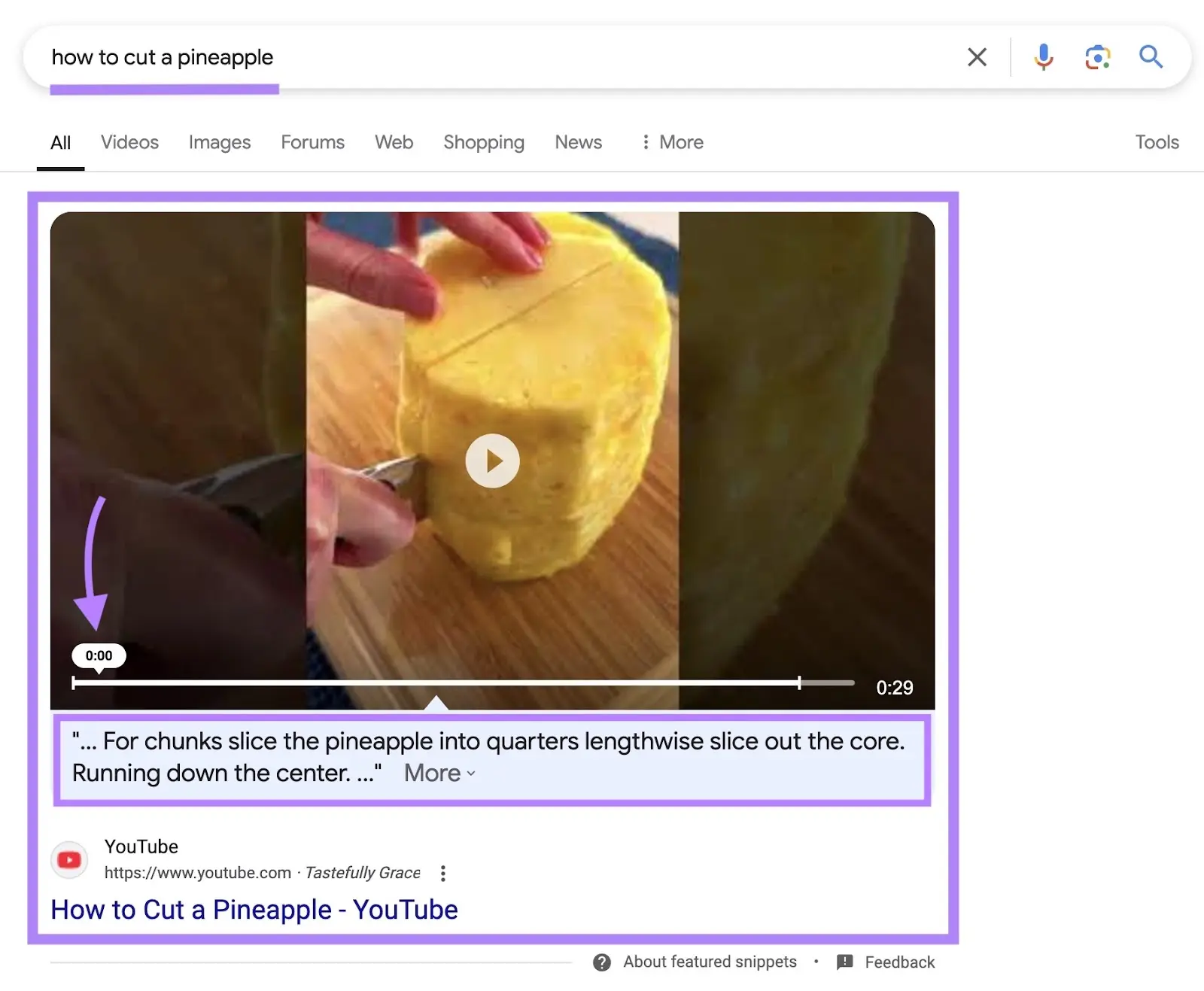 Google search result with video snippet showing a pineapple being cut with highlighted playtime bar.