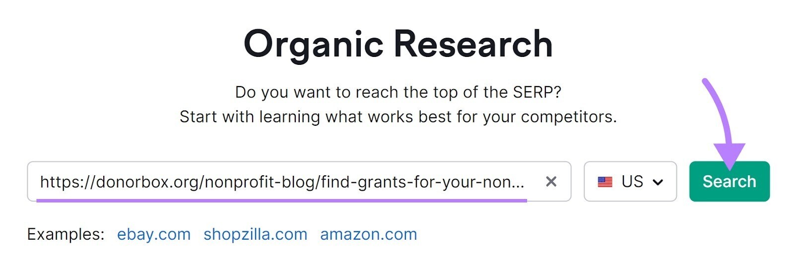 Organic Rankings tool search bar