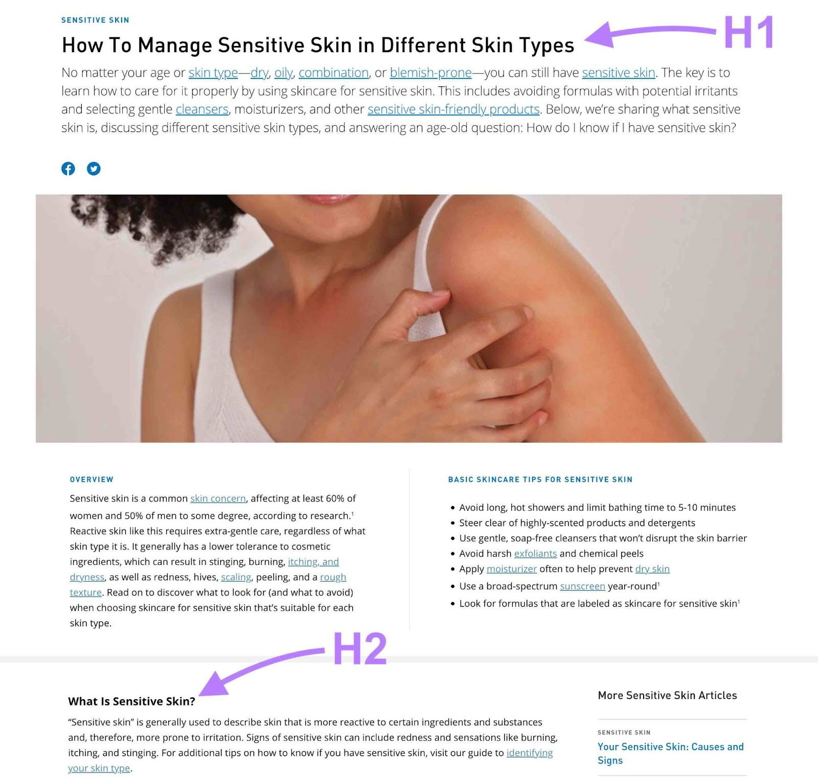 The H1 and H2 tags highlighted on a blog post by CeraVe.