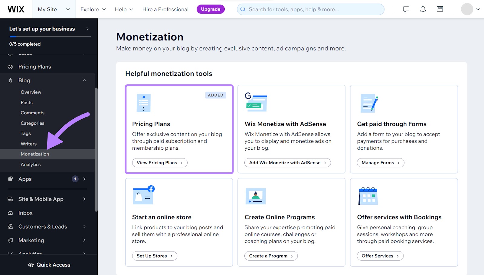 Wix's Monetization page